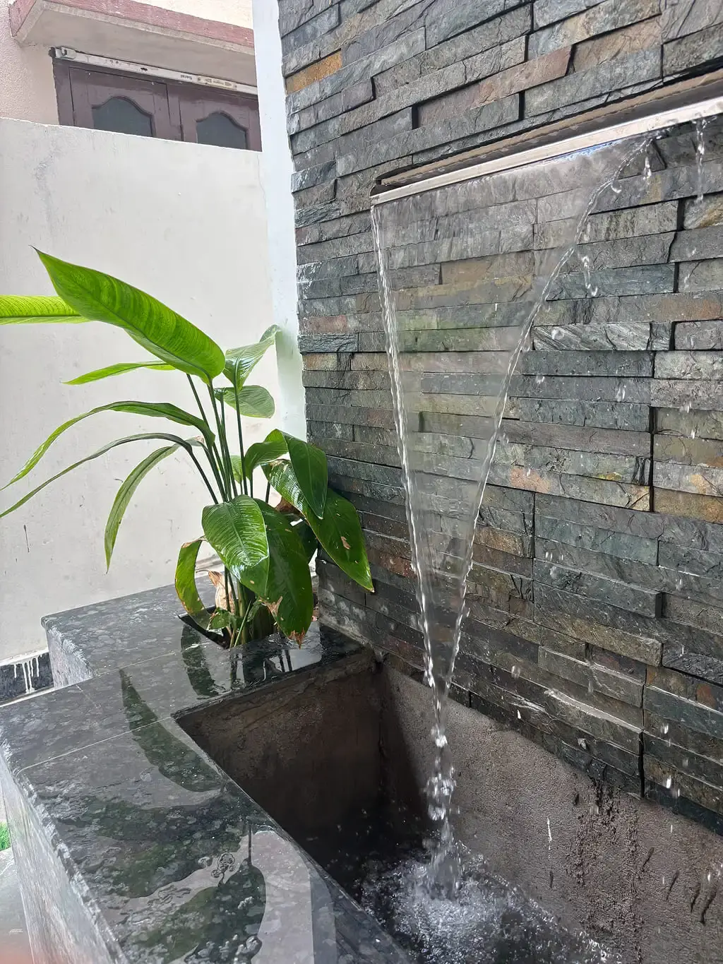 Water Fountain
